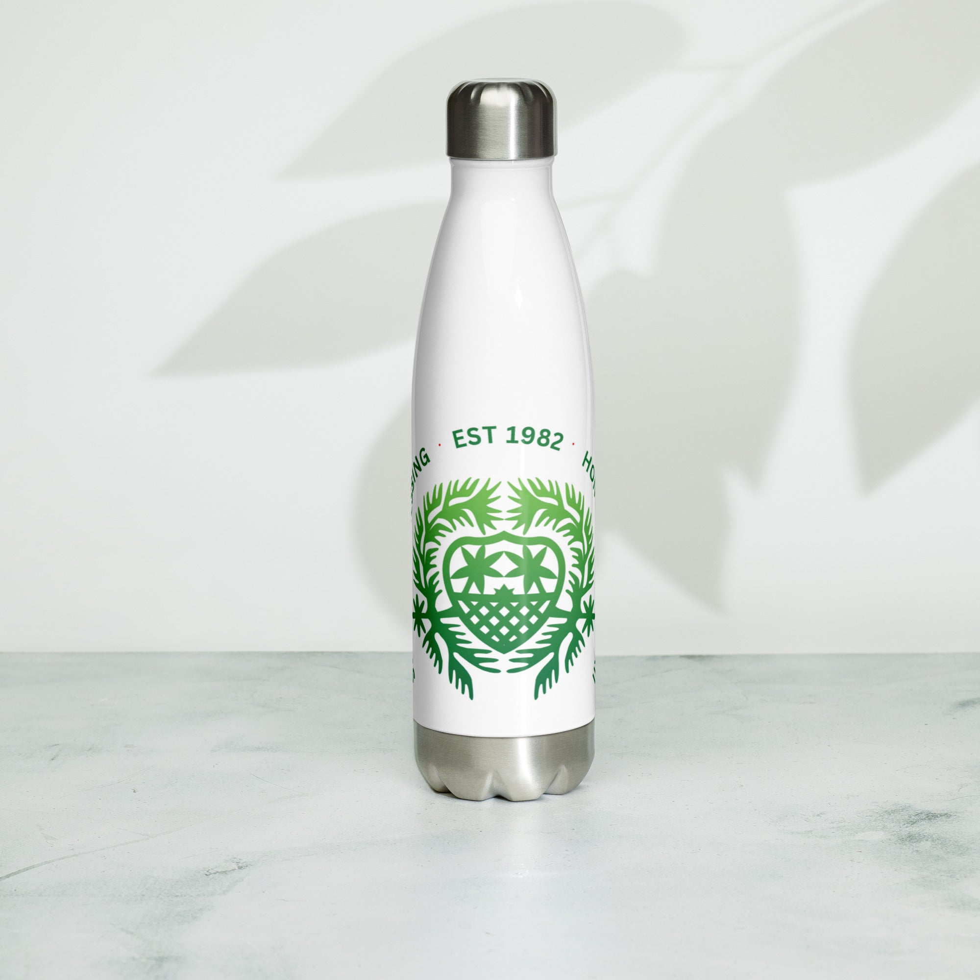 Stainless Steel Water Bottle