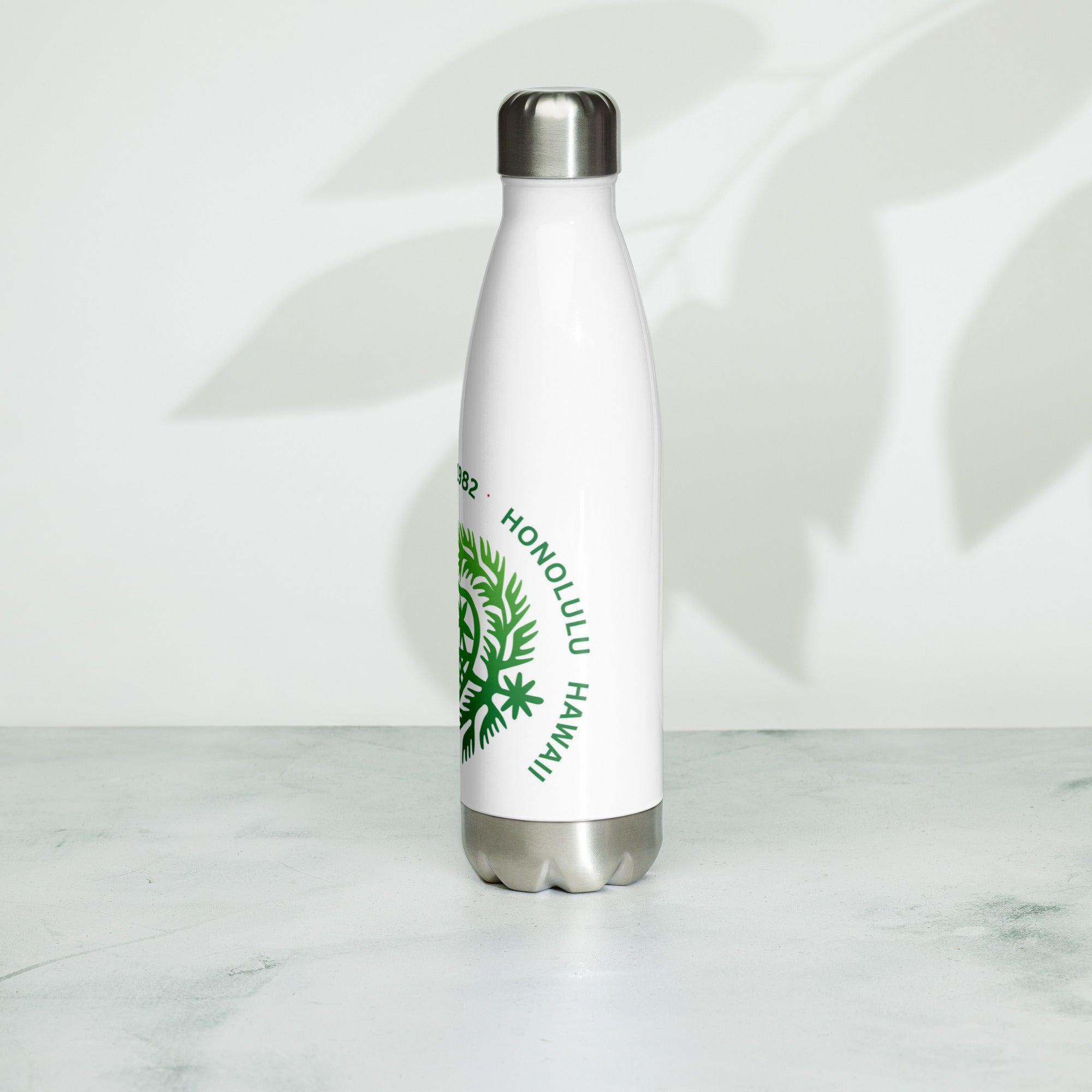 Stainless Steel Water Bottle